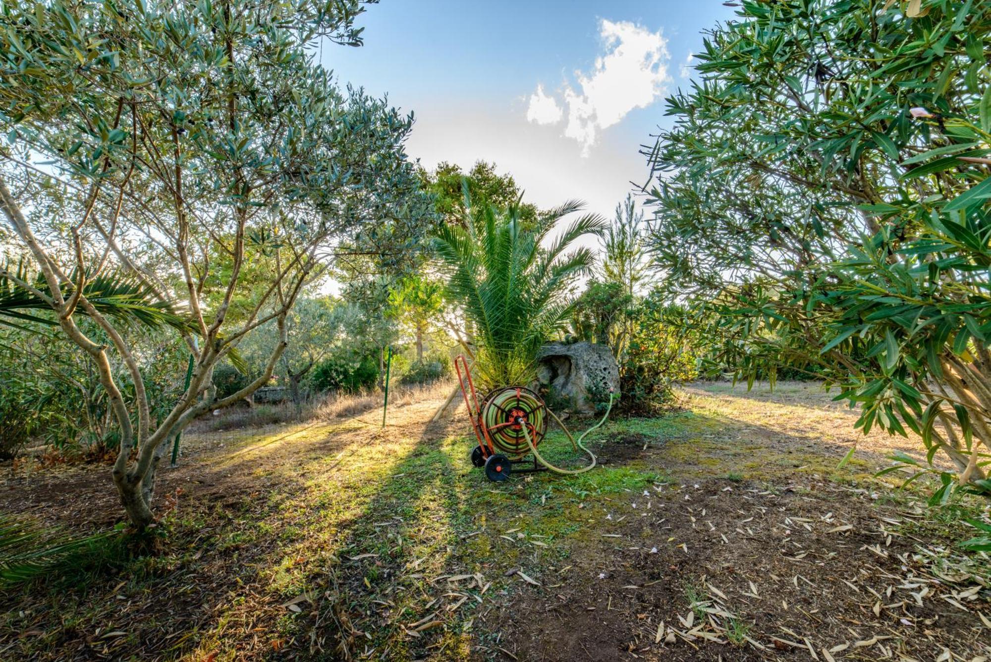 Maravilla Casa Vacanze Olbia Exterior photo